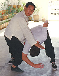 Master Chee teaching Alan application of Luohan Ru-Yi 