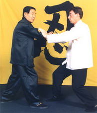 Master Chee teaching Alan application of Luohan Ru-Yi 